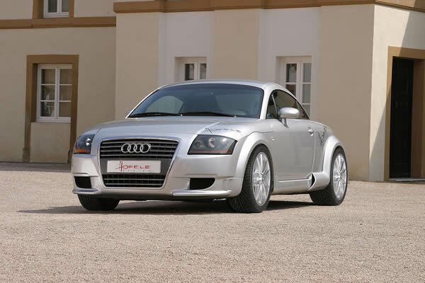 Hofele-Design Audi TT Single-Frame Frontsto?stange W12